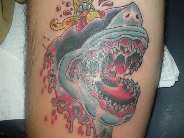 11 Fierce NeoTraditional Shark Tattoos  Traditional shark tattoo Shark  tattoos Tattoo designs men