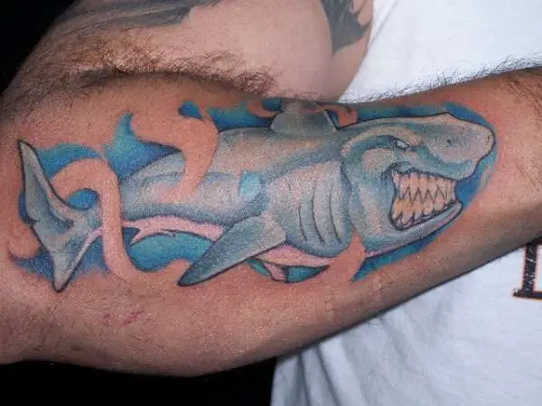 Freehand Shark