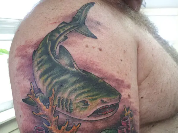 30 Sensational Shark Tattoo Ideas for Women  Men in 2023