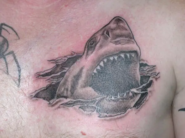 Fascinating meaning of shark tattoos