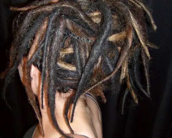 Dreadlock Hairstyles 25 Mind Blowing Styles Design Press