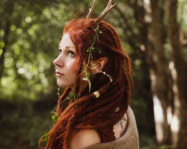 Wild Flame Dreadlocks