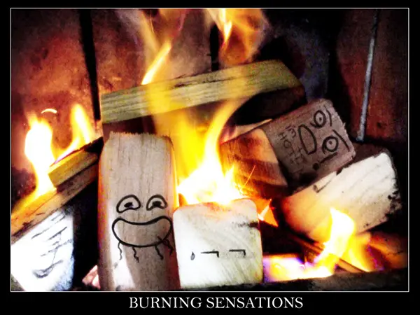 Funny Burning Logs