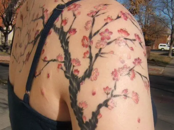 Realistic Cherry Blossom