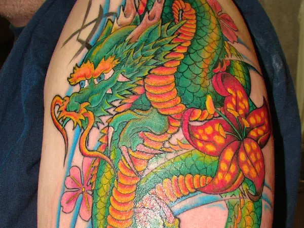 Dragon‘s Vibrancy