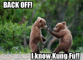 30 Oustanding Funny Caption Pictures