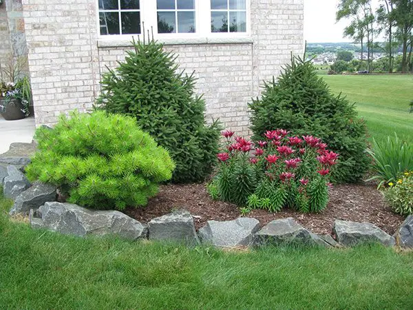 rock-backyard