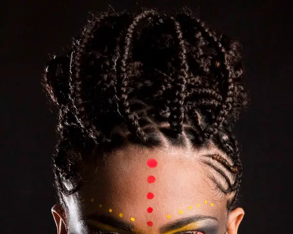 23 Fabulous African American Braided Hairstyles Slodive