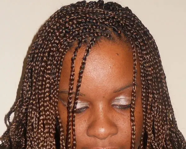 26 Lively African American Braids Slodive