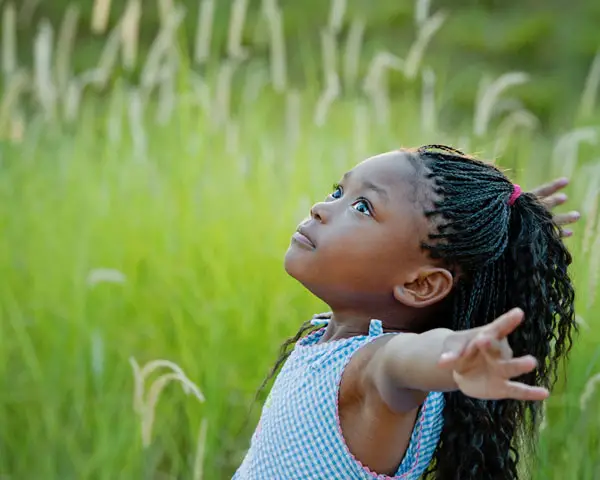 26 Lively African American Braids Slodive