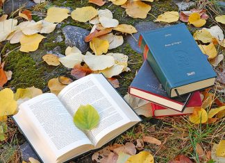 30 Lovely Pictures of Books