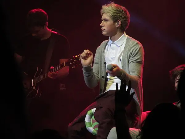 Niall Horan Quirky