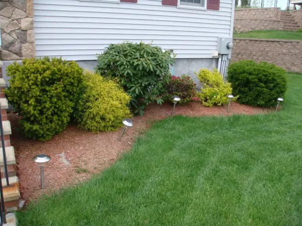 Landscaping Ideas For A Backyard Which Look Exceptional Design Press