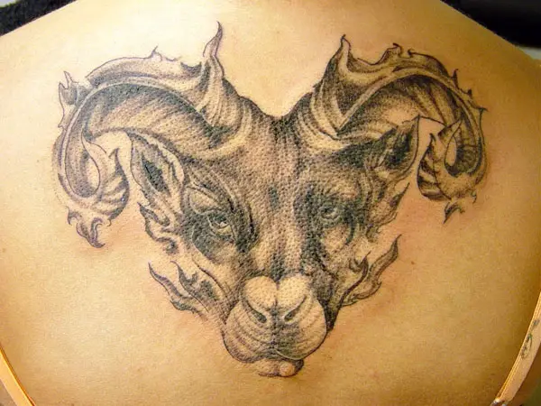 Elegant Aries Tattoo