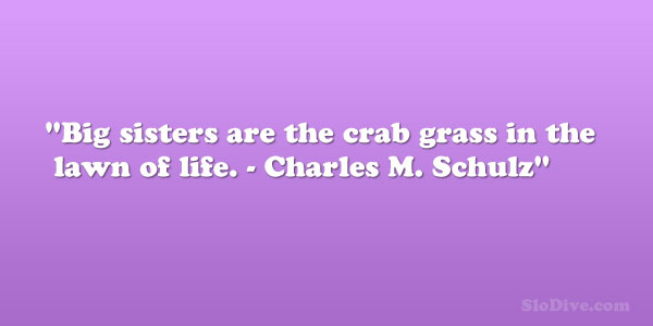 Charles M Schulz Quote