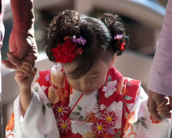 Traditional Hairstyle