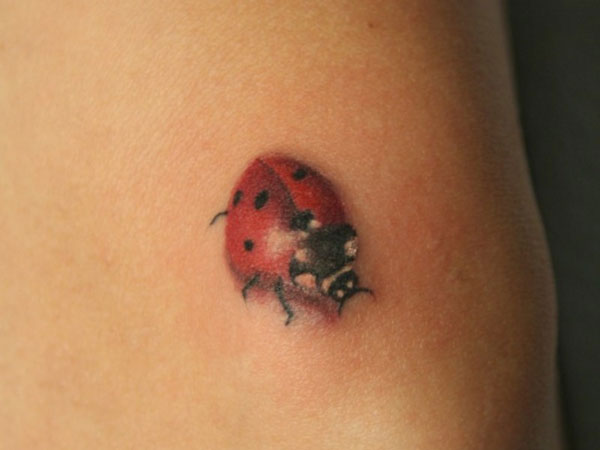 Classic Ladybug Tattoo