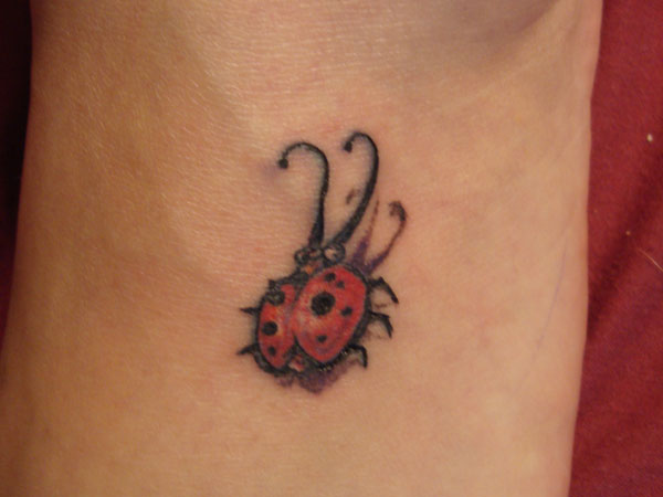 Big Ladybug Tattoo
