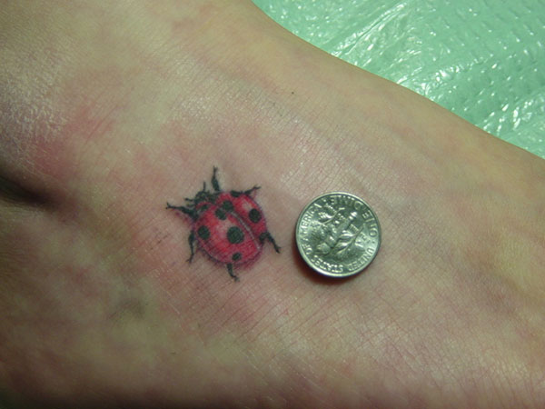 Cute Ladybug Tattoo