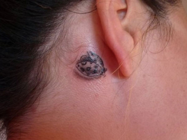 Gray Ladybug Tattoo