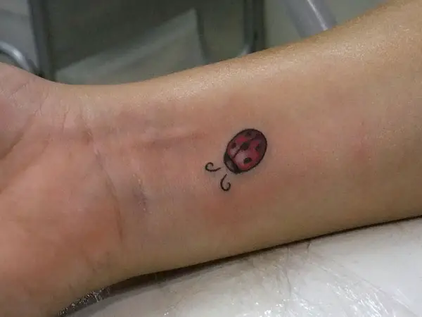 10 Realistic Ladybug Tattoo Designs for Nature Lovers