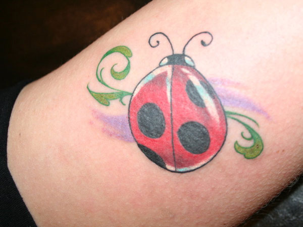 Large Ladybug Tattoo