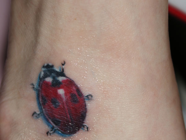 Realistic Ladybug Tattoo