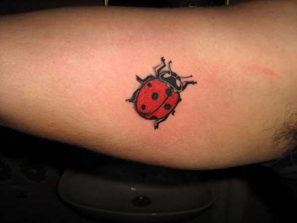 Sexy Ladybug Tattoo