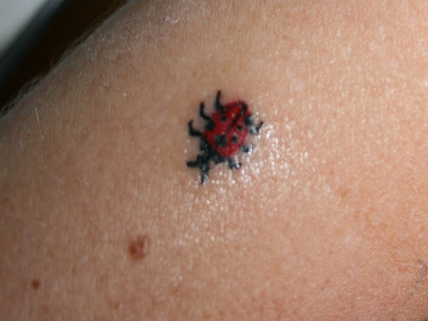 Small Ladybug Tattoo