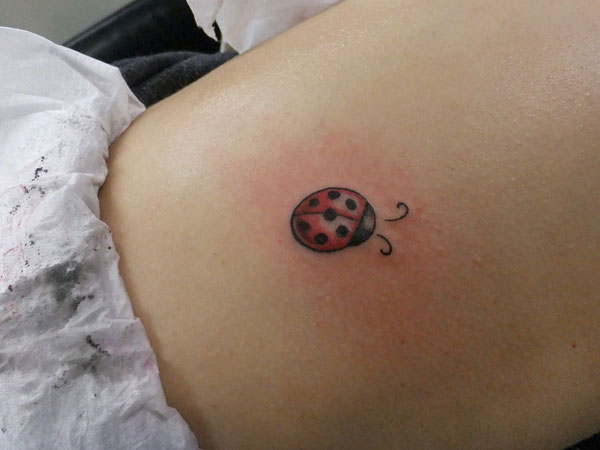 Stomach Ladybug Tattoo