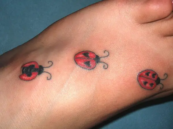 Three Ladybugs On Foot