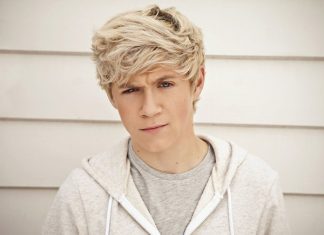 26 Arresting Niall Horan Pictures
