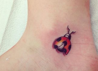 32 Exotic Ladybug Tattoos