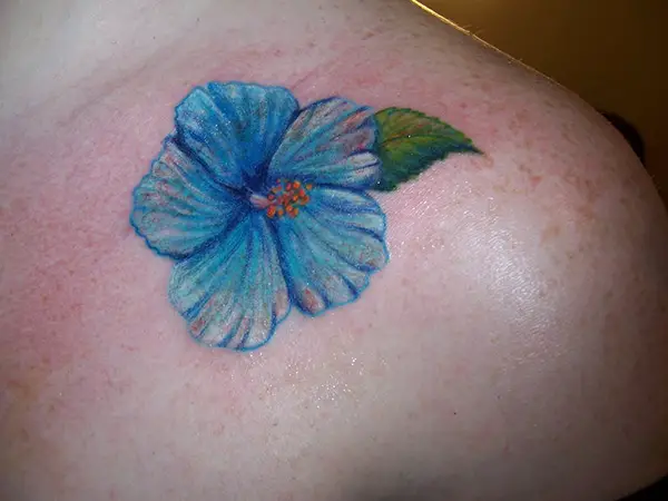 Blue Hibiscus