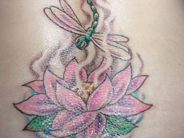 Lotus And Dragonfly