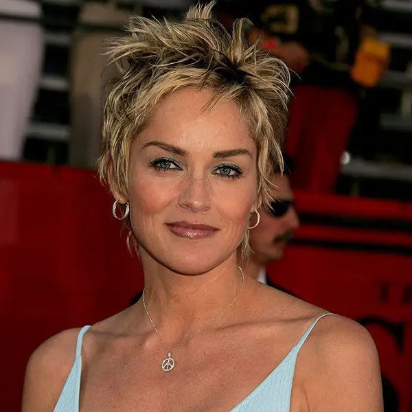 23 Sharon Stone Short Hairstyles  Celebrity Short Haircuts