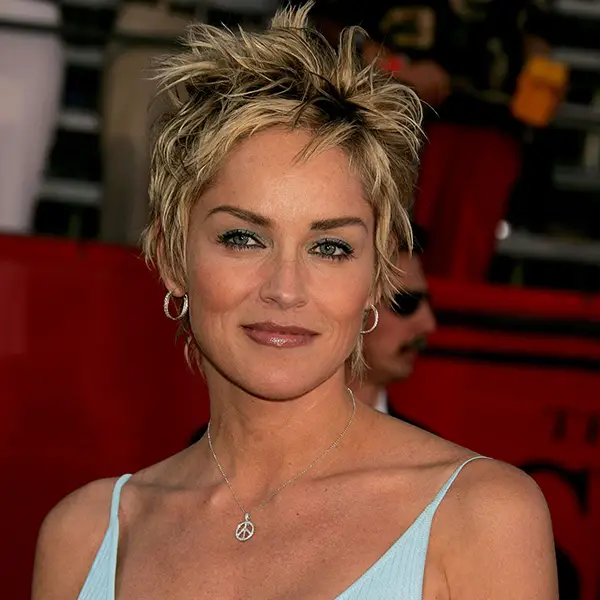 26+ Sharon Stone With Short Hair - DeenMakayla