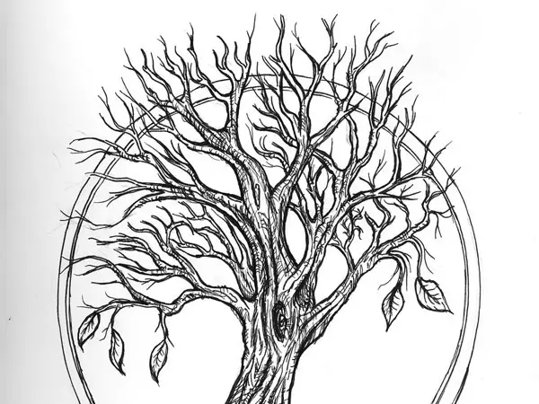 tree tattoos and drawings