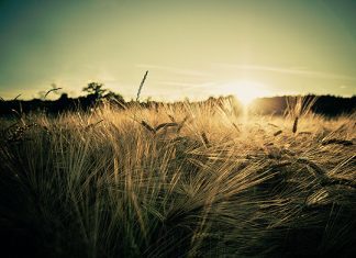 32 Splashy Vintage Twitter Backgrounds