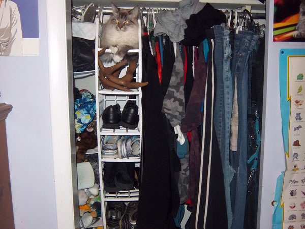 Kitty Closet