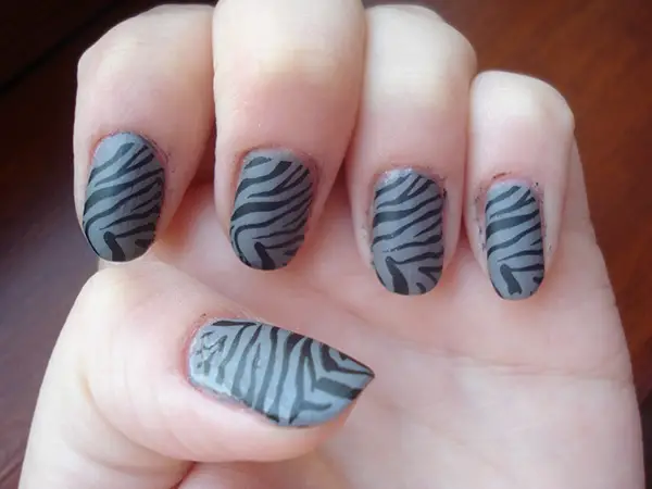Gray Zebra Design