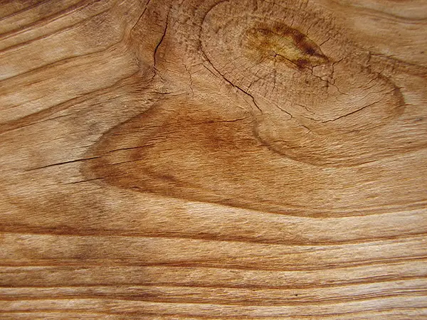 Texture Of Wood