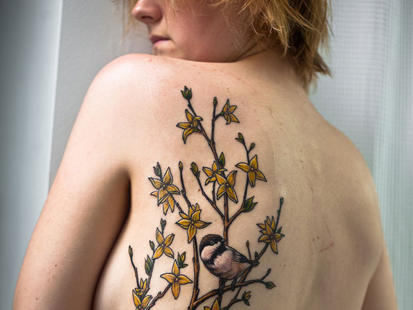 v a n e s s a c o r e  on Instagram Medicinal Plants  A collection  of Sabrinas favourite medicinal plants on  Vine tattoos Elegant tattoos  Knee tattoo