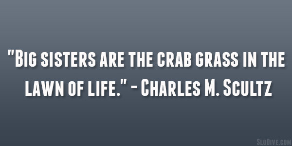 Charles M. Scultz Quote