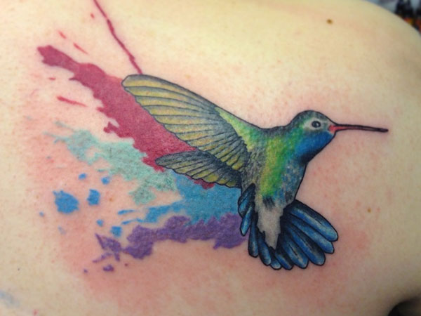 Colorful Splashes Hummingbird