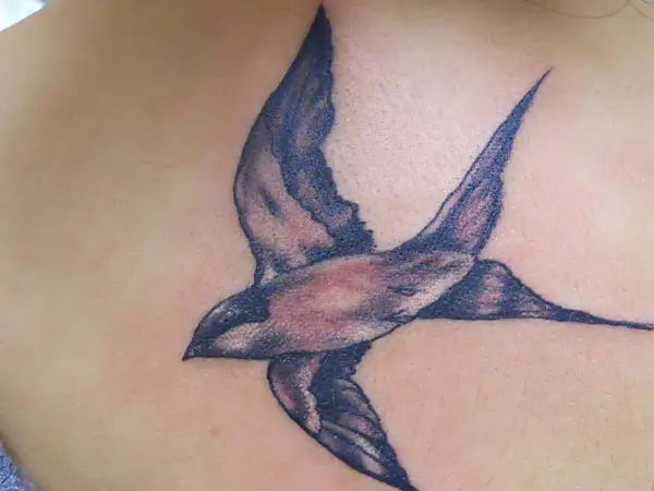 Realistically Shaded Bird