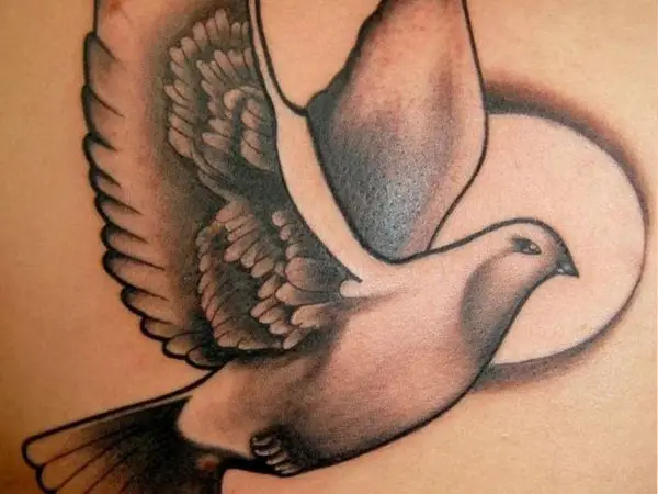 Pigeon Female Tattoo Design