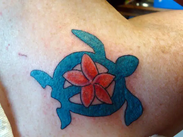 Plumeria Sacred Turtle