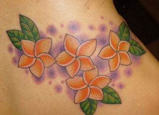 26 Creative Plumeria Tattoo