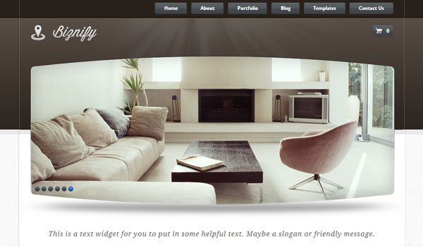 biznify-theme